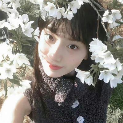 情难断